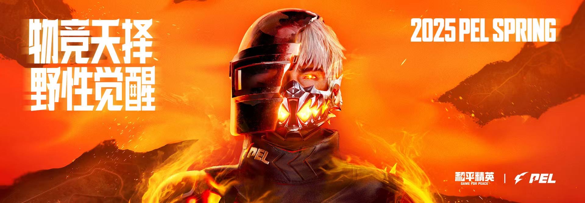 和平精英辅助【九世】